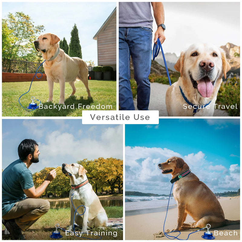 Heavy Duty Dog Tie Out Cable and Stake – 30ft Tangle-Free Leash with Stainless Steel Clips – Dog Tether for Yard with 360° Rotating Ring and Secure Ground Screws – Perfect for Yard and Camping